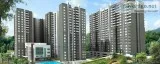 3 BHK  Apartment Sobha forest view for sale