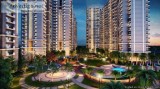 Apartments in Samridhi Luxuriya Avenue in Noida Call 9278057805