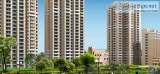 Nirala Estate 9711836846 Dream Apartments in Noida Extension