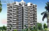 Flats For Sale in Ajnara Daffodil Sector 137 Noida 9711836846