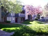 Two Bedroom One Bath- By BSU and Downtown