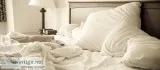 Bed Bugs Removal In Carlsbad