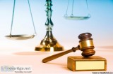 Meet Mold Insurance Expert Witness Bill Hager