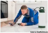 Quality Pest Control Services in McAllen