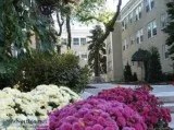 NEW DARLINGTONSummit - Great Location - Ready 2BR - 2295
