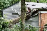 Public Insurance Adjusters New Jersey
