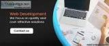Professional Web development company in india