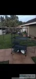 Ferrets