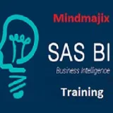 SAS Bi online Training 100% Practical