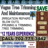 YARD CLEAN UPS AND DEBRIS REMOVALS