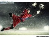 Best MBA Sports Management Programs