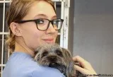 The Leaders in Veterinary Medicine