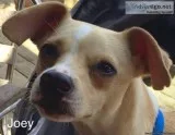 Fantastic all animal daycare and boarding