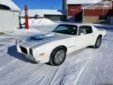 1973 Pontiac Trans Am