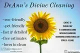 DeAnn s Divine Cleaning