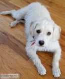 Looking for someone to take over current apartment lease