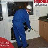 Quality Pest Control Services - 24x7 Pest Control