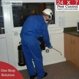 Quality Pest Control Services - 24x7 Pest Control