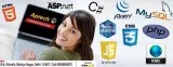 IT Training Classes in South DelhiAptech Malviya Nagar