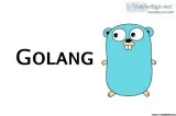 Get the Best Golang Development Services - Agriya