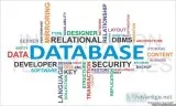 Database Management System Assignment Help for Students in UK