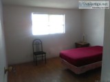 Rooms to Rent 1 to 4 wshrdbth