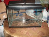 Aquarium and Supplies