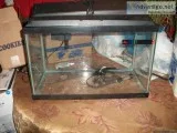 Aquarium and Supplies