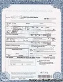 TRADUCCIONES CERTIFICADAS DE INGLES-ESPANOL DE ACTAS DE NYC