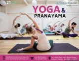 Yoga and Pranayama Training Centre in Delhi