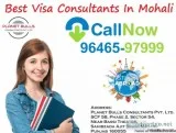 Best Immigration Consultants In Chandigarh