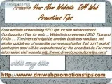 Promote Your New Website  DM Web Promotions Tips