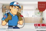 Hire The Cheap Pest Control Services in  delhi