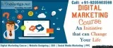Digital Marketing Course in Delhi