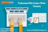 A Professional Web Content Writer Company Brings Brand Profit