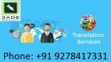 Professional translation services in pun