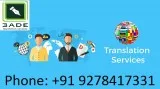 Professional translation services in pun