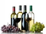 Love wine love to party need extra inc