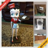 Ottawa Downsizing Online Auction - Wilhaven Drive