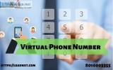 Best virtual Phone Number for business- Leadnxt