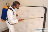 Best Bed Bug Exterminator in Manchester