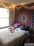 Looking for a sublease
