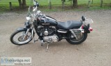 2009 harley xl sportster 1200 custom