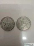 Rear old coin