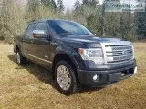 2013 FORD F-150 PLATINUM
