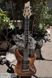 Schecter Diamond Series C-1 Exotic Electric Guitar