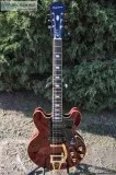 Epiphone Riviera Limited Edition Custom Shop Electric Guitar