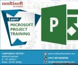 MS Project Training Certification