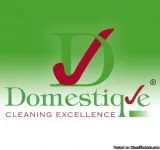 Domestique Franchise