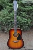 Epiphone Norlin FT160 Texan 12 String Acoustic Guitar